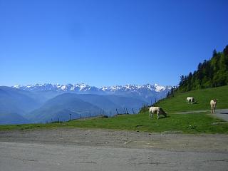 Col d'Aspin