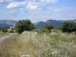 Landschaft bei Torrejon el Rubio