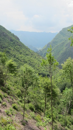 Auffahrt zum Passo del Maniva