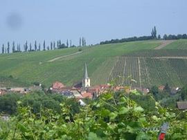 Escherndorf am Main