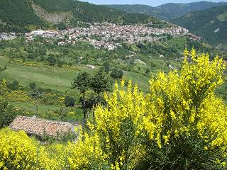 Terranova di Pollino