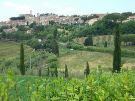 Montescudaio