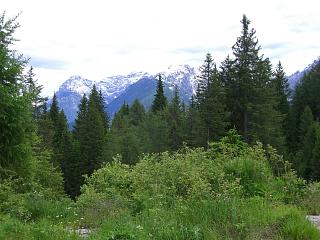 Passo del Zovo