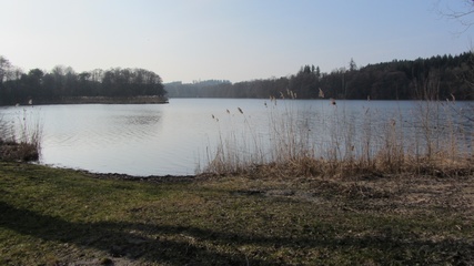 Rinser See