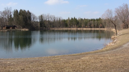 Schechener Waldsee