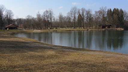 Schechener Waldsee